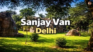 Sanjay Van Delhi