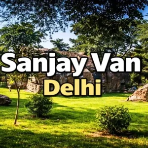 Sanjay Van Delhi: Nearest Metro, Entry Gates, Timings & Neela Hauz Lake Guide