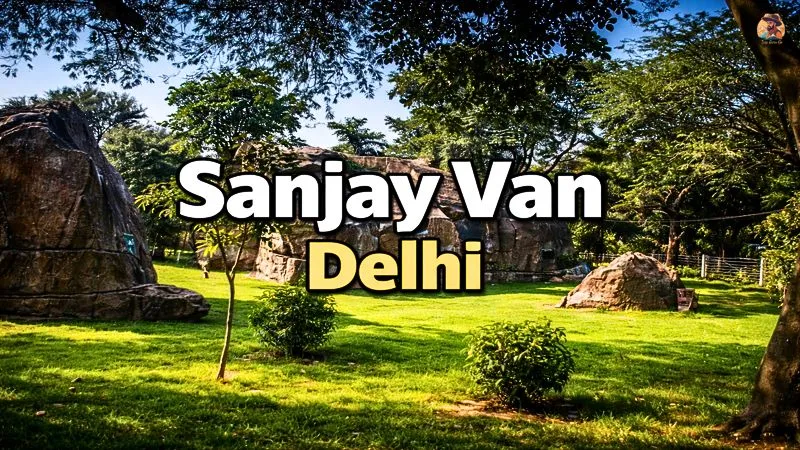Sanjay Van Delhi: Nearest Metro, Entry Gates, Timings & Neela Hauz Lake Guide