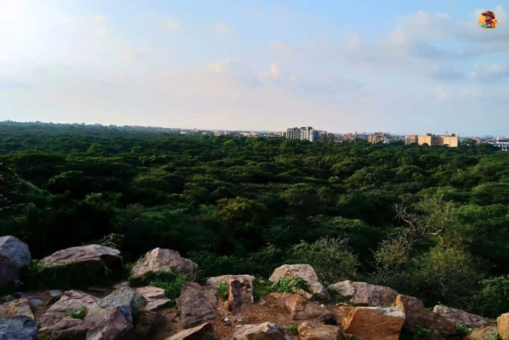 Sanjay Van Image 4