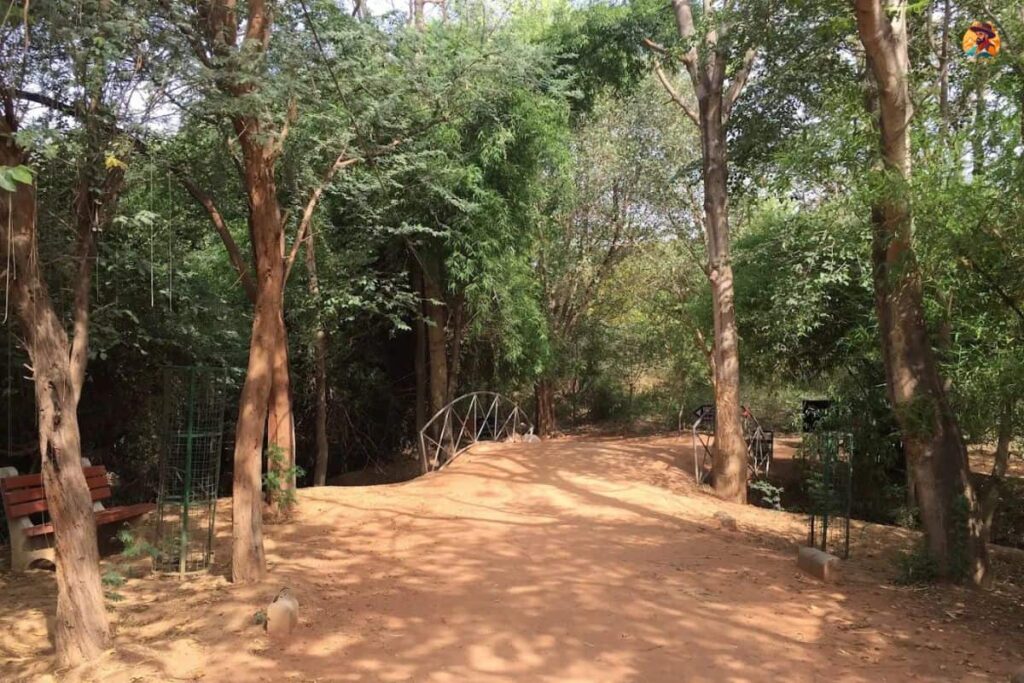 Sanjay Van Image 1