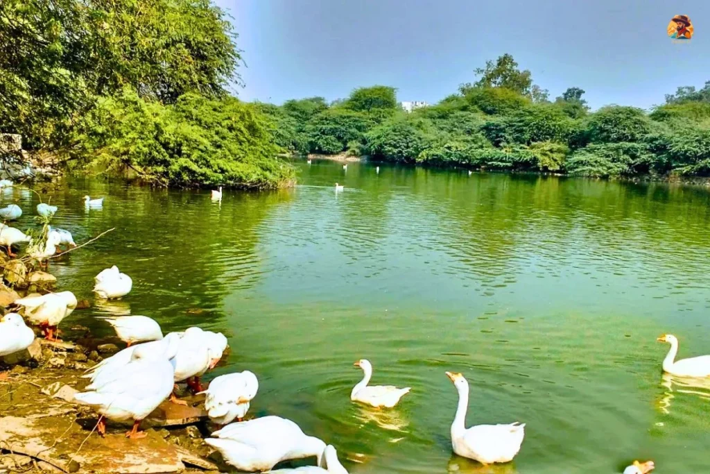 Wetland bird habitat Yamuna Biodiversity Park
