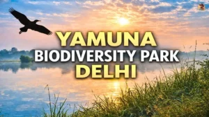 Yamuna Biodiversity Park Delhi