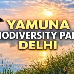 Yamuna Biodiversity Park Delhi: Timings, Entry Fee, Nearest Metro & Nature Guide