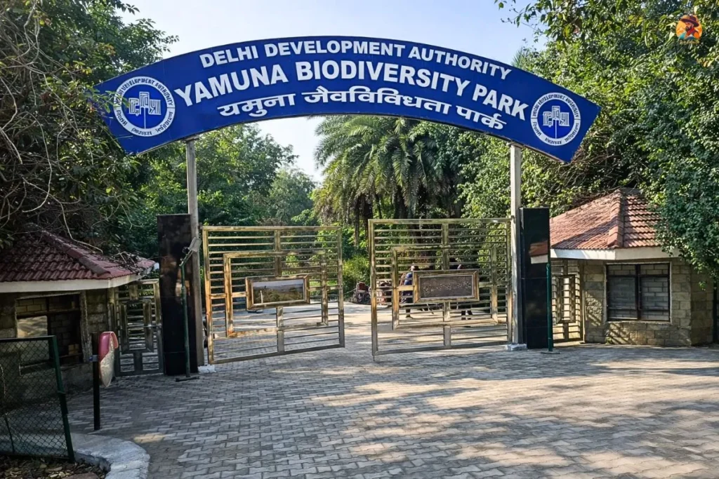 What is Yamuna Biodiversity Park