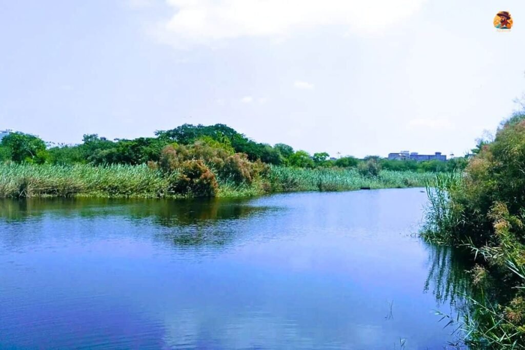 Yamuna Biodiversity Park Photo 12