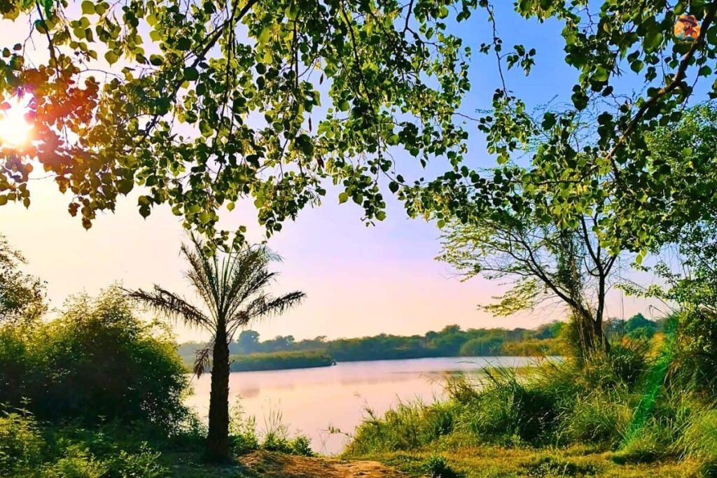 Yamuna Biodiversity Park Photo 2