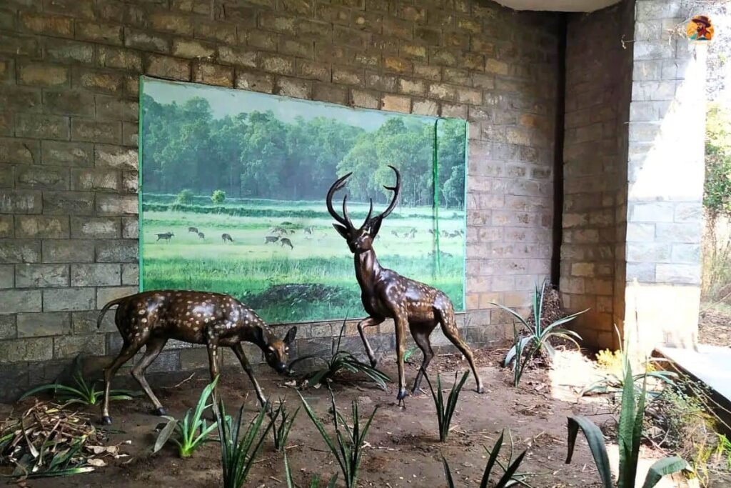 Yamuna Biodiversity Park Photo 11