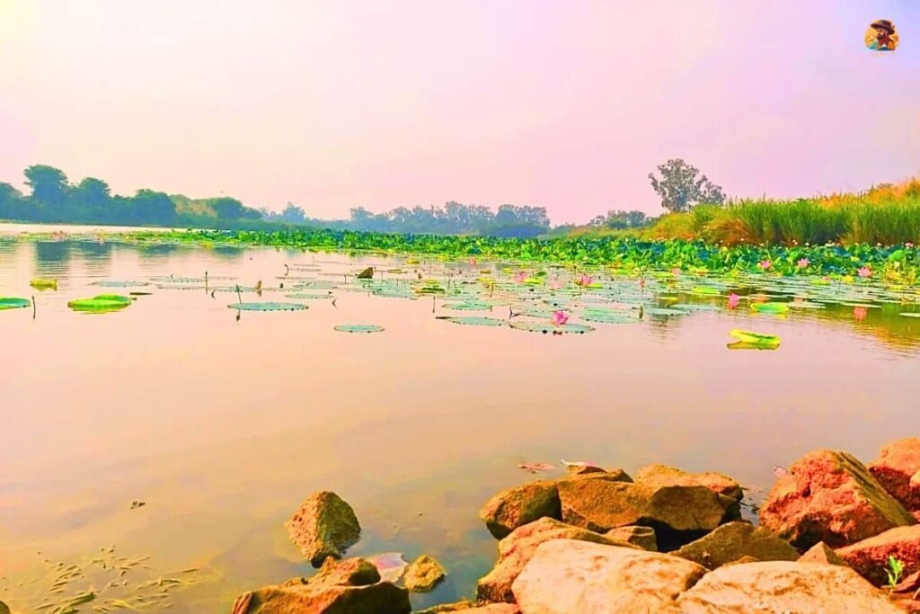 Yamuna Biodiversity Park Photo 4