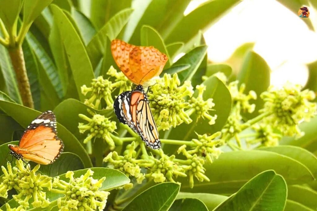 Yamuna Biodiversity Park Photo 6