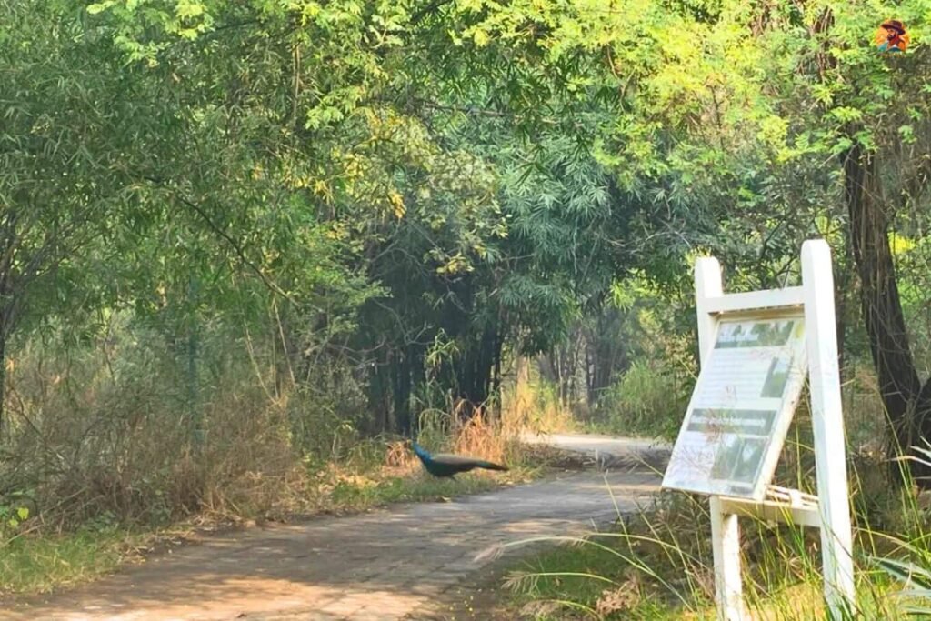 Yamuna Biodiversity Park Photo 7