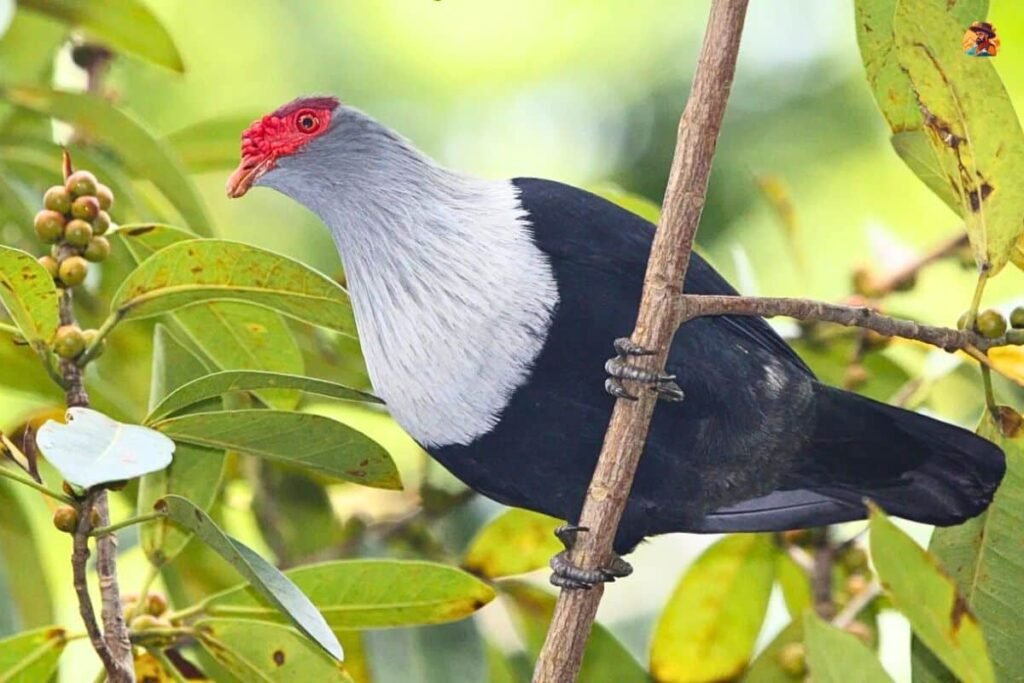Yamuna Biodiversity Park Photo 10