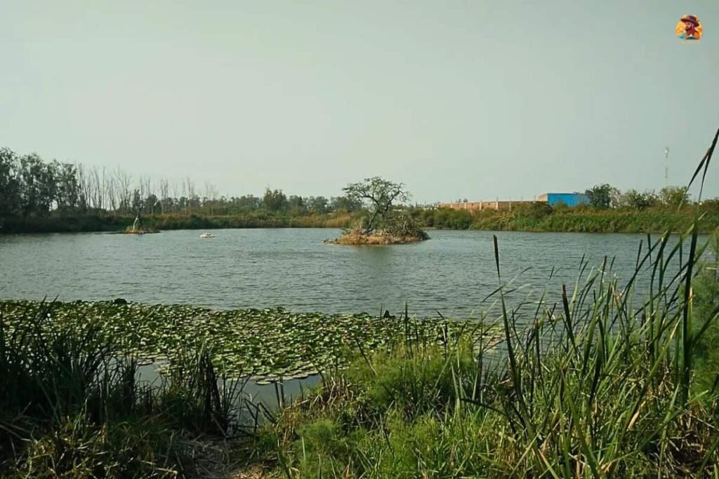Yamuna Biodiversity Park Photo 15