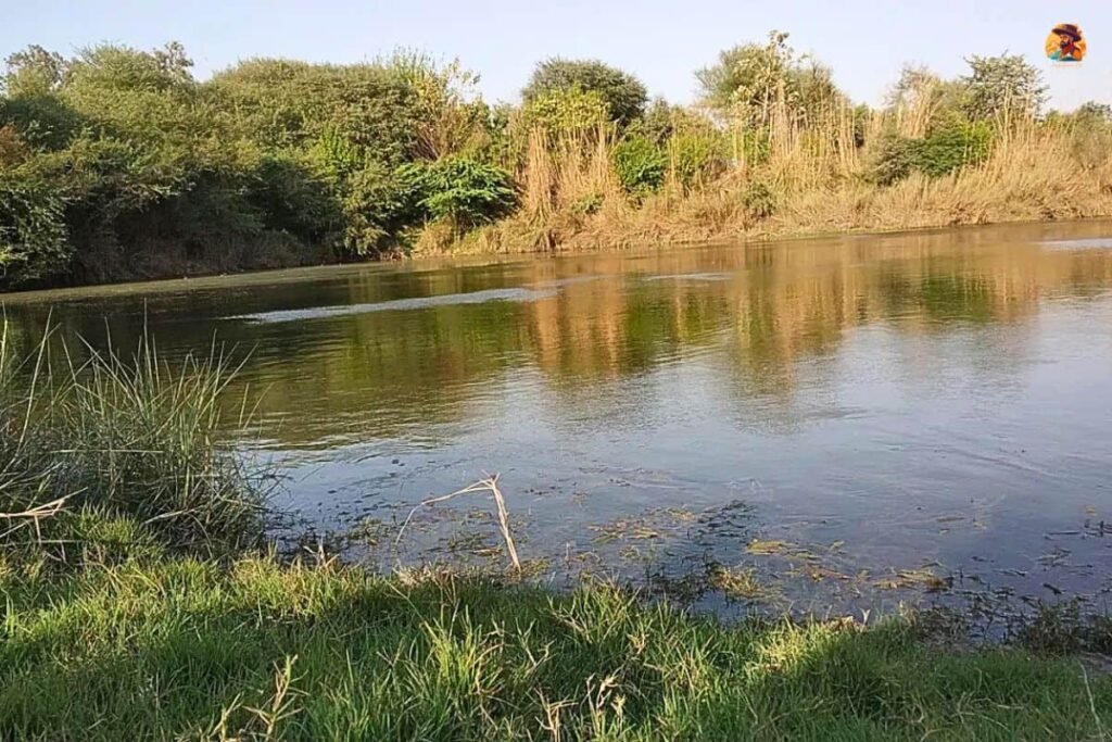 Yamuna Biodiversity Park Photo 16