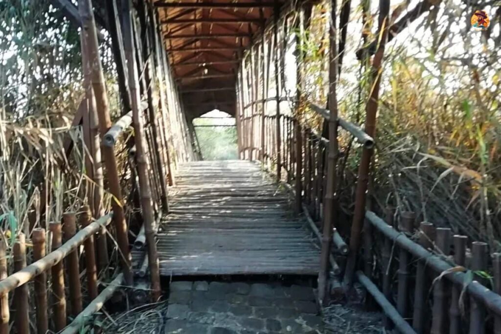 Yamuna Biodiversity Park Photo 17