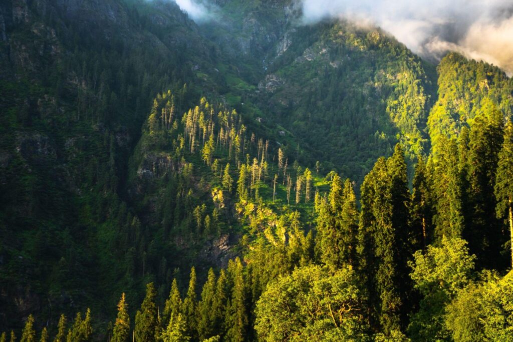 Kheerganga Trek
