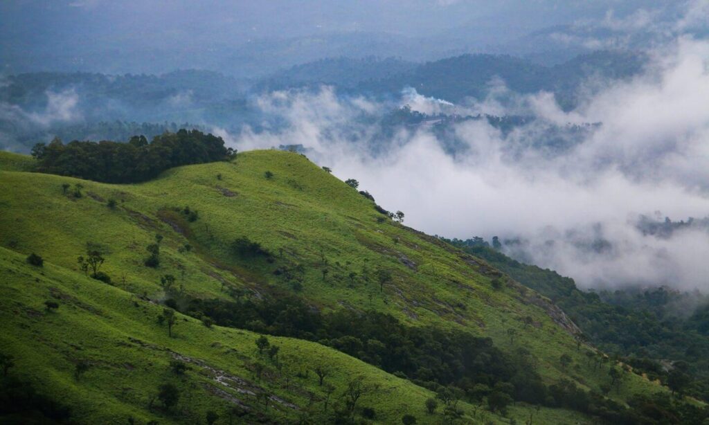 Scenic green hills in Wayanad Kerala