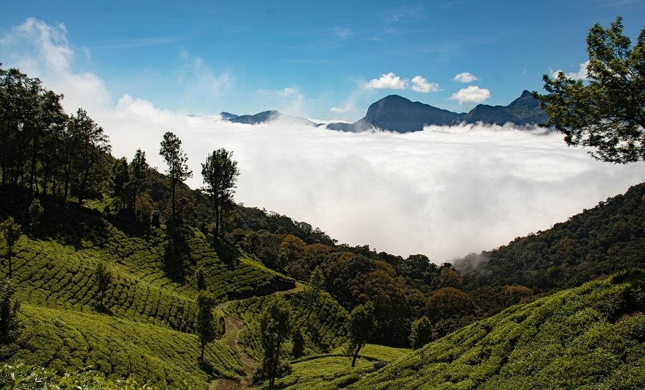 Scenic hills of Munnar Kerala