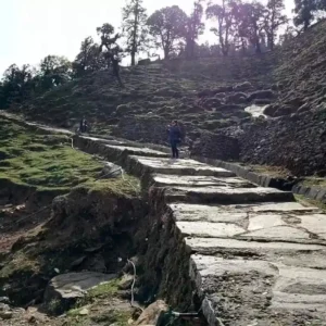 Best Time to Visit Chopta for Trek: Complete Weather & Seasonal Guide