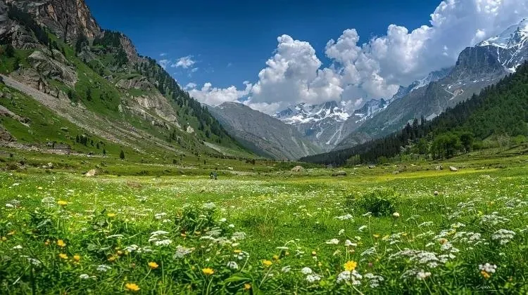Hampta Valley