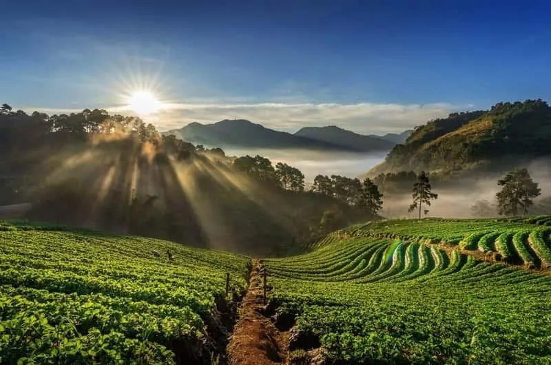 Munnar