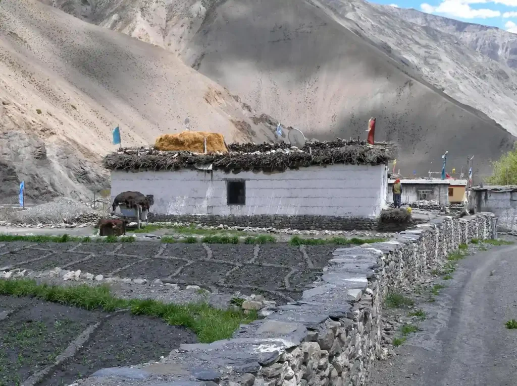 Traditional mud and stone houses in Gue Village Spiti Valley
