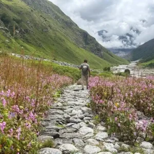 Valley of flowers guide: best time, route, itinerary, cost & travel guide