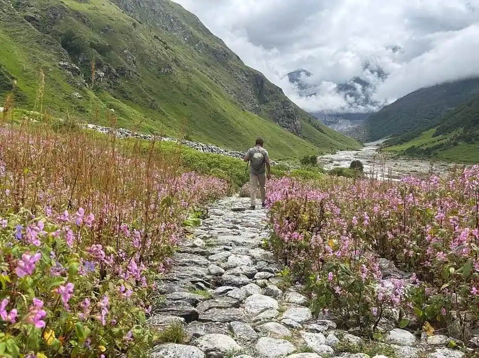 Valley of Flowers