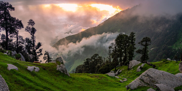 McLeod Ganj Himalayan Trails