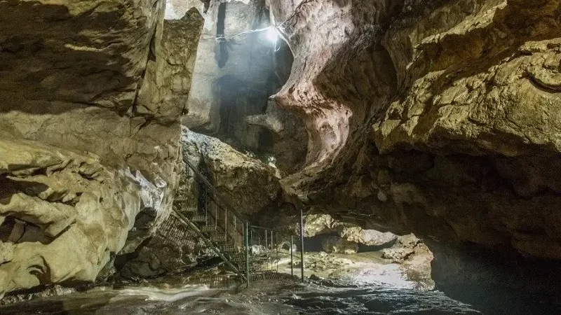 Arwah Cave Meghalaya: Entry Fee, Timings, Fossils & Complete Travel Guide