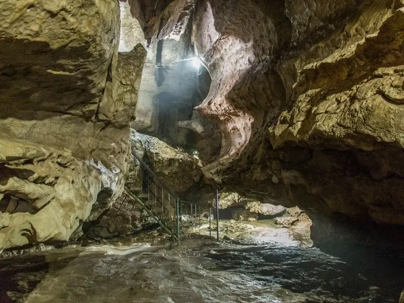 Arwah Cave Meghalaya: Entry Fee, Timings, Fossils & Complete Travel Guide