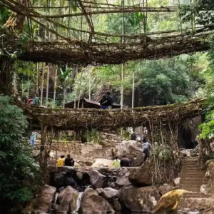 Double Decker Root Bridge Meghalaya: Complete Trek Guide