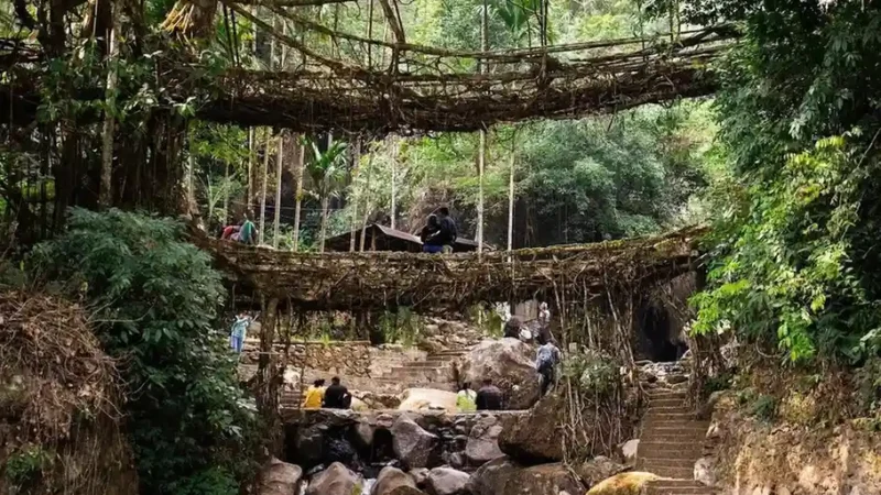 Double Decker Root Bridge Meghalaya: Complete Trek Guide