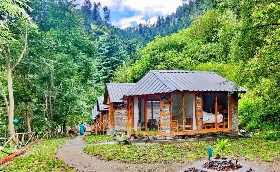 Jibhi