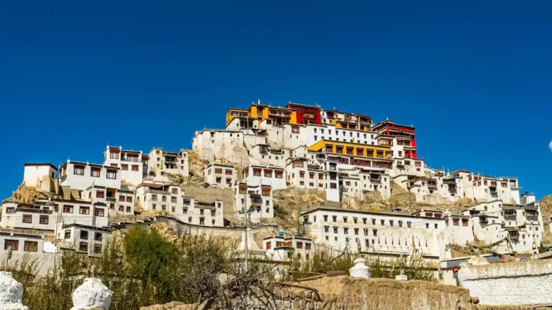 Thiksey Monastery Ladakh: Complete Travel Guide