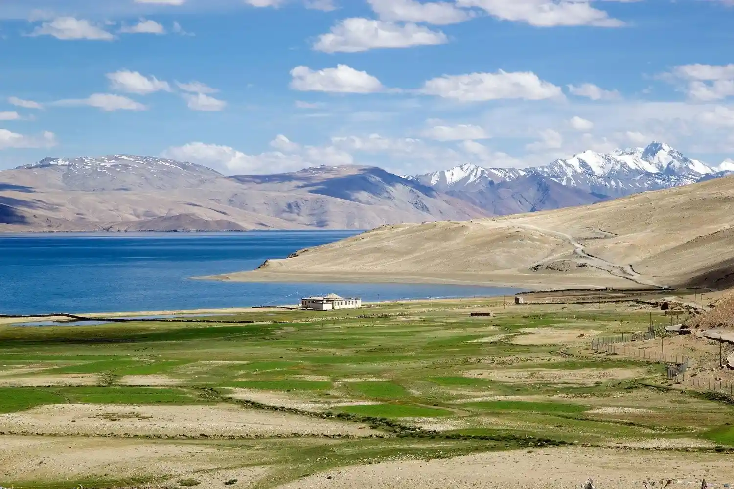 Tso Moriri Lake in Ladakh: Complete Visitor’s Guide for First-Time Travellers