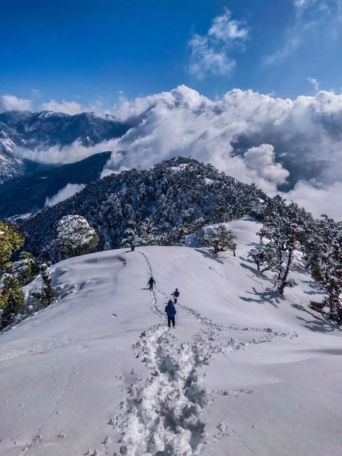 Manali Trip