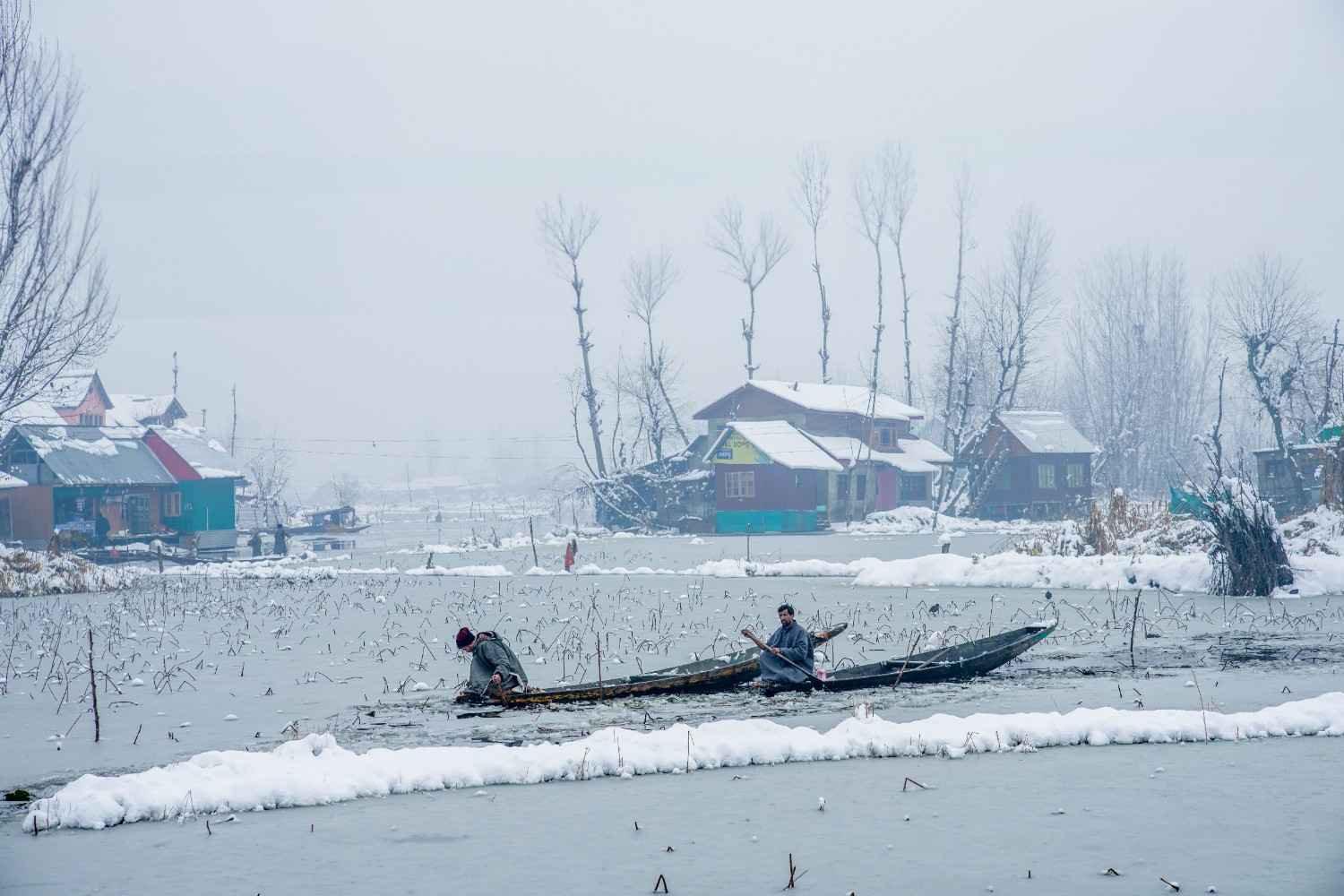 Kashmir in January