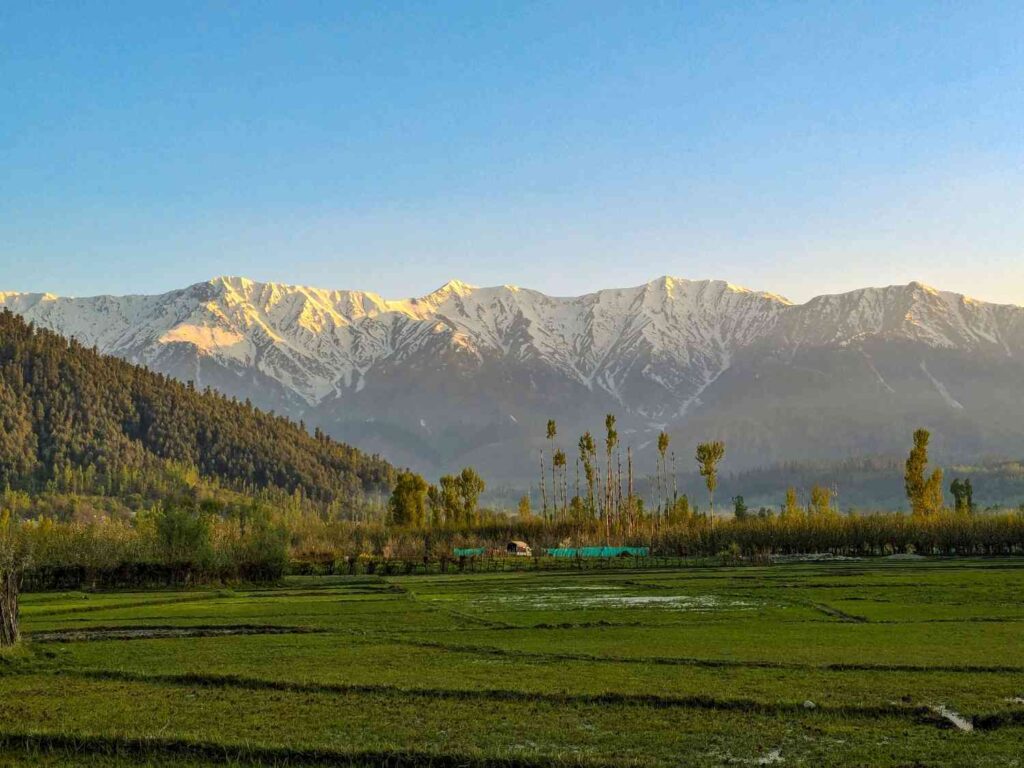 Kashmir in March