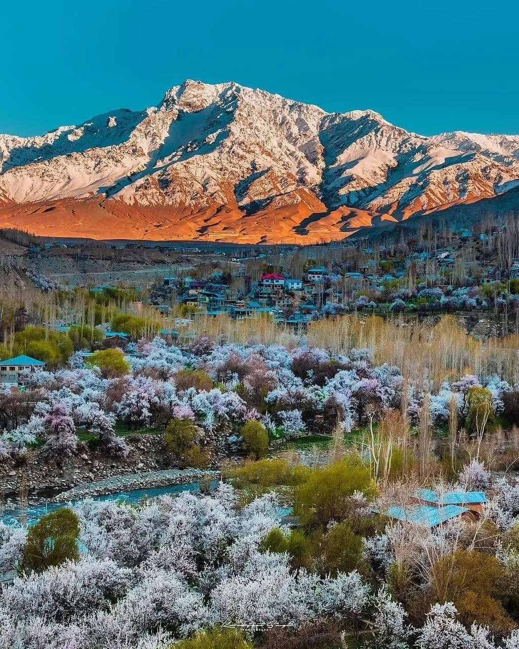 Ladakh in August
