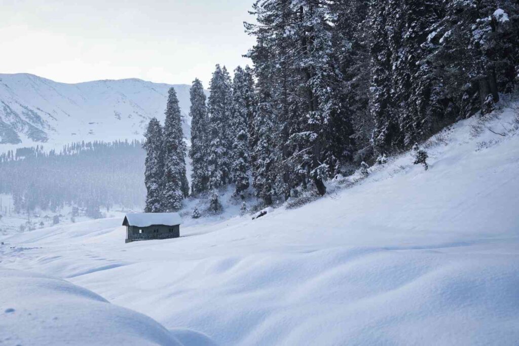Sonamarg